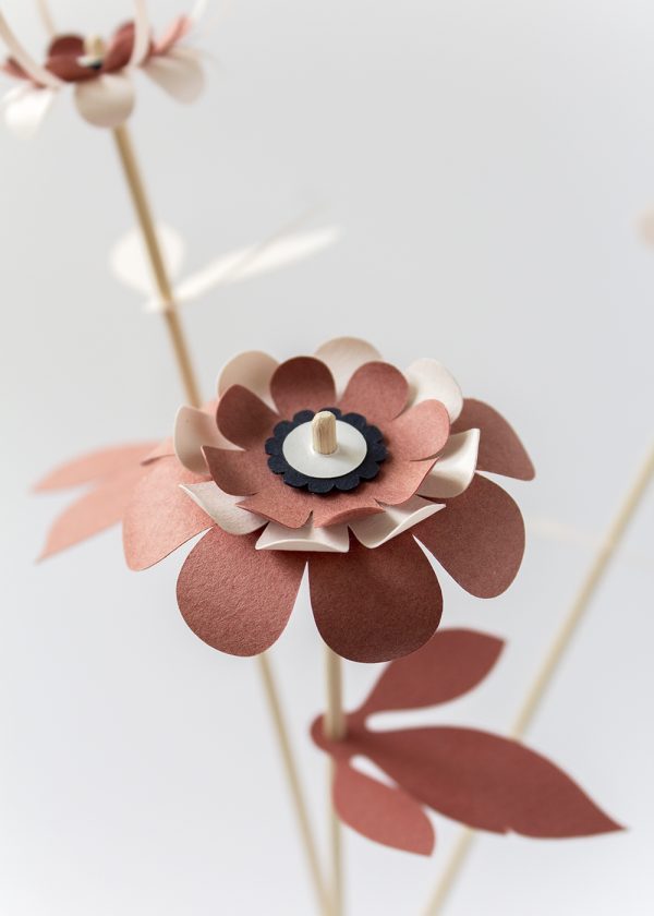 Vlijtig Steeltje Nature and Paper DIY Flowers - Caululis Dilligenter